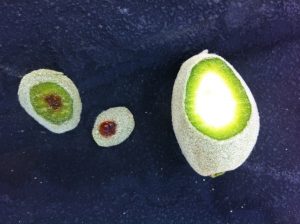 Bacterial spot of almond 2
