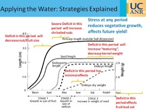 Figure 2: Effects of severe water stress on almond growth at specified points within the growing season.